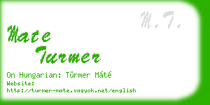 mate turmer business card
